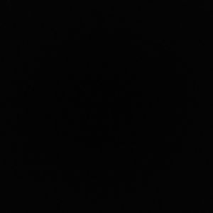 Meet your Posher, Susie